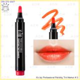 ( 5 )It's top Professional Painting Tint Marker