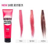 ( 10 )Two Tone Treatment Hair Color 150ml